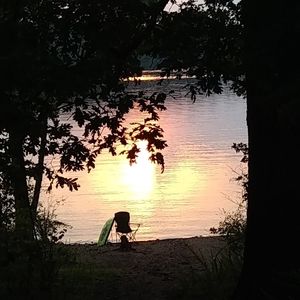 Meet your Posher, Elsie